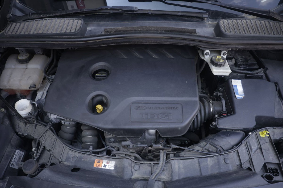 Ford C-Max 1.6 TDCi 115CV Titanium (19)