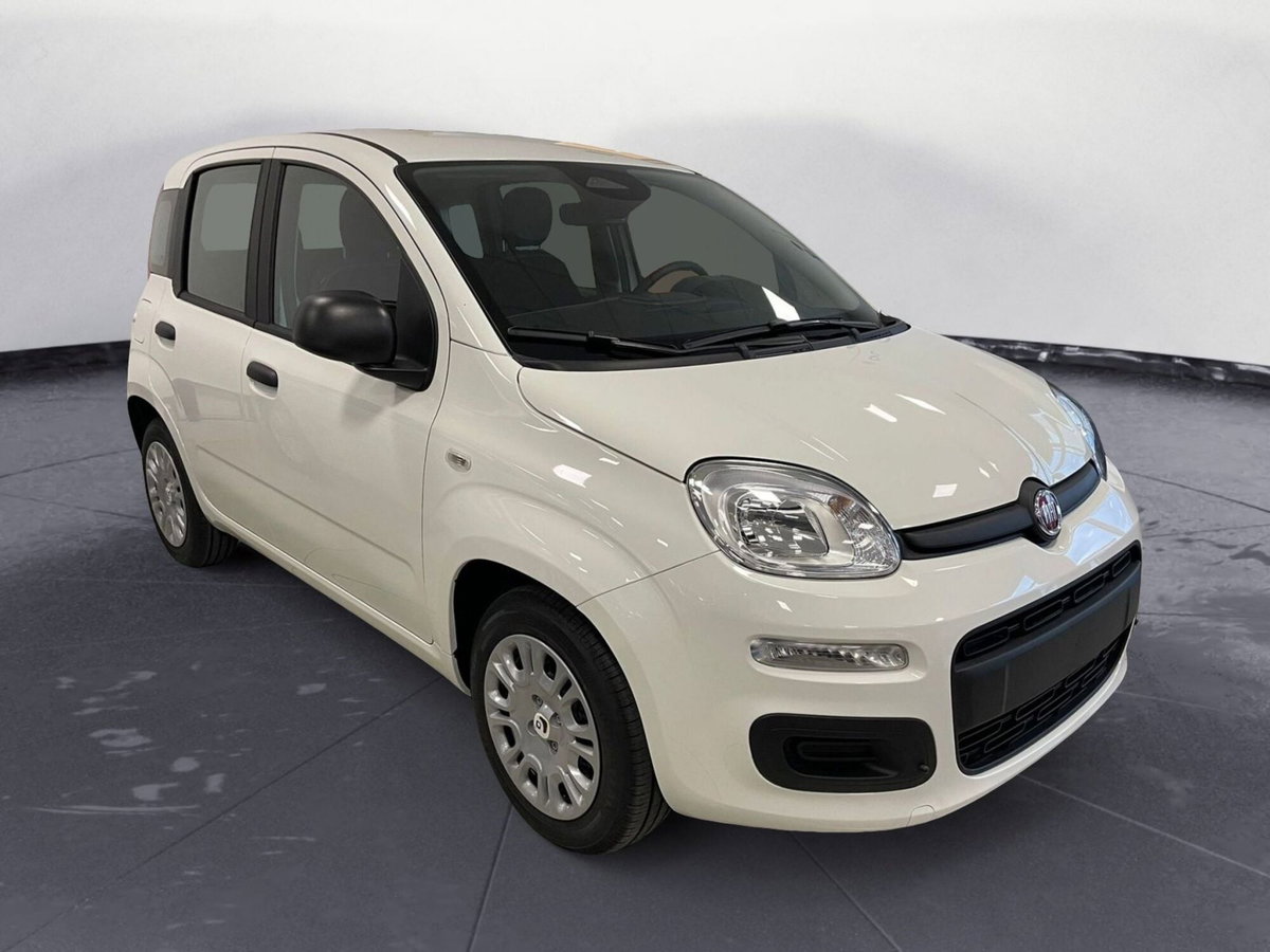 Fiat Panda Cross Cross 1.0 FireFly S&S Hybrid (2)