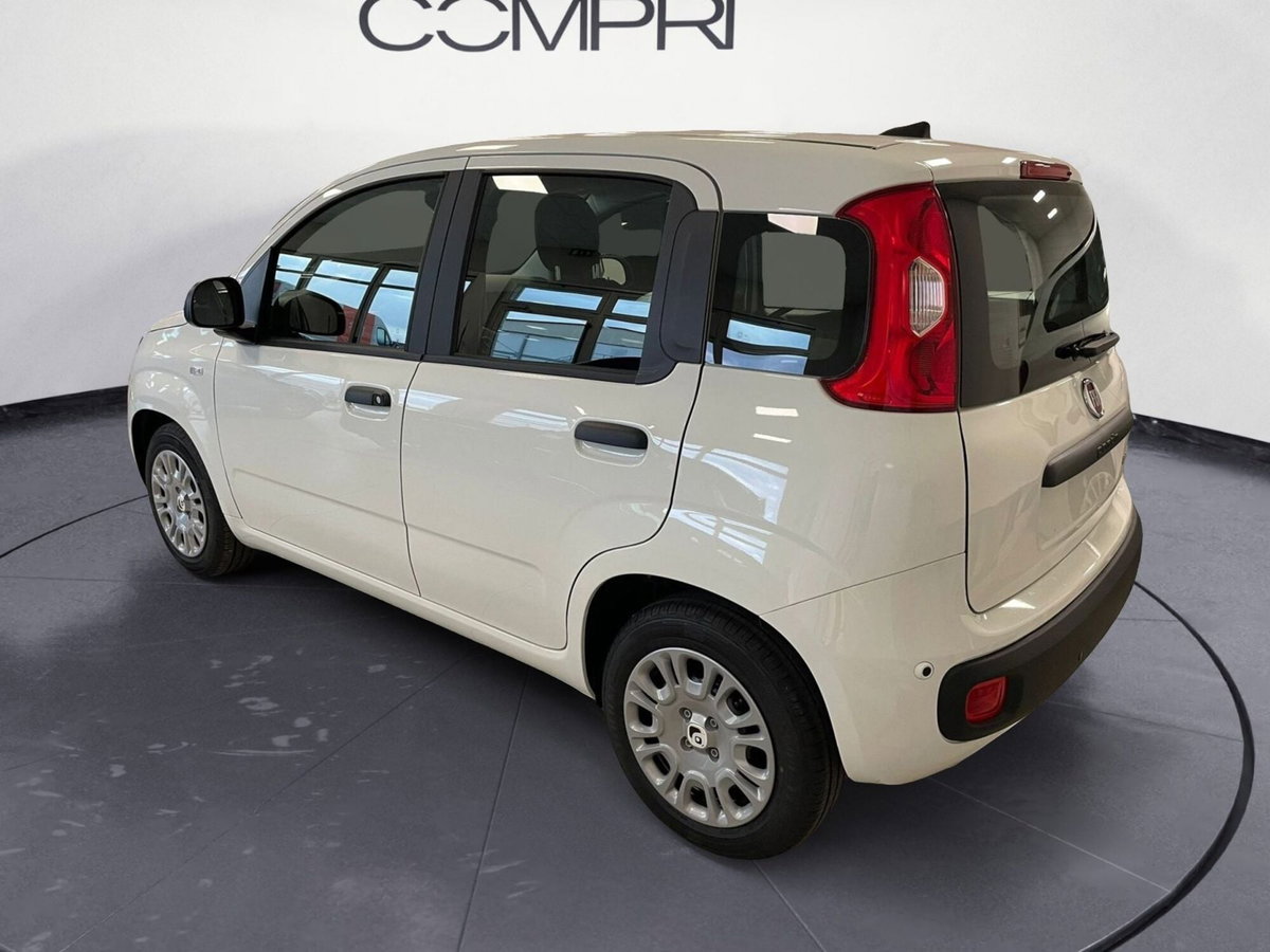 Fiat Panda Cross Cross 1.0 FireFly S&S Hybrid (3)