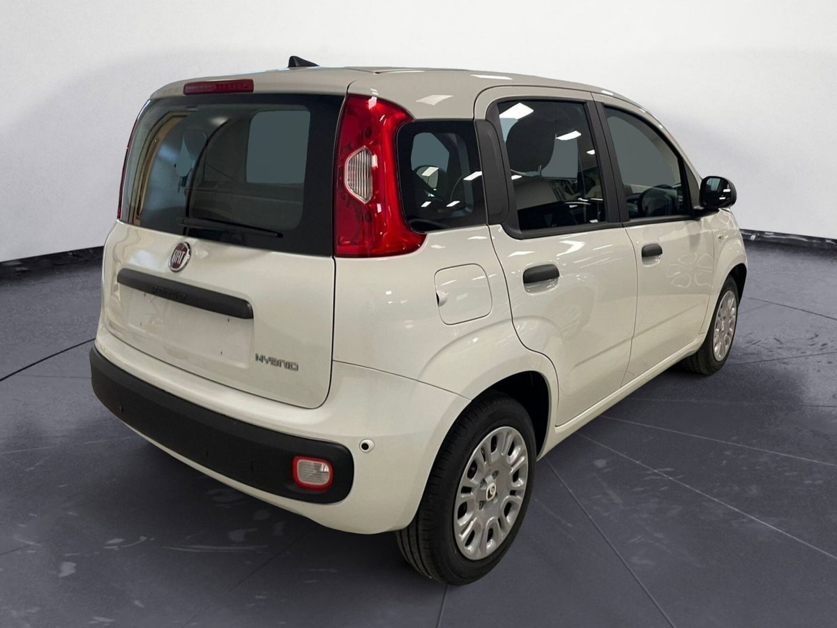 Fiat Panda Cross Cross 1.0 FireFly S&S Hybrid (4)