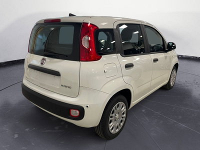 Fiat Panda Cross Cross 1.0 FireFly S&S Hybrid (4)