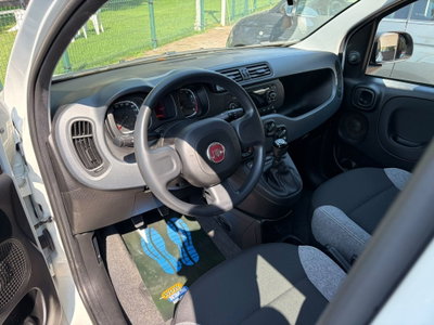 Fiat Panda Cross Cross 1.0 FireFly S&S Hybrid (8)