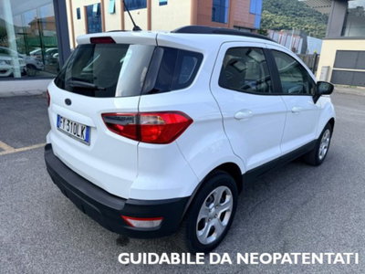 Ford EcoSport 1.0 EcoBoost 100 CV Plus (2)