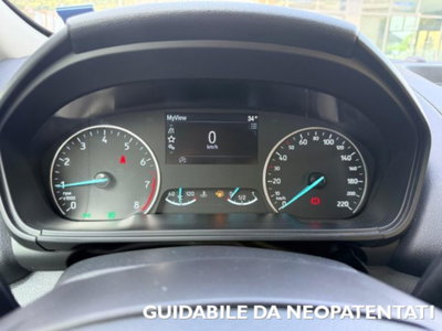 Ford EcoSport 1.0 EcoBoost 100 CV Plus (7)