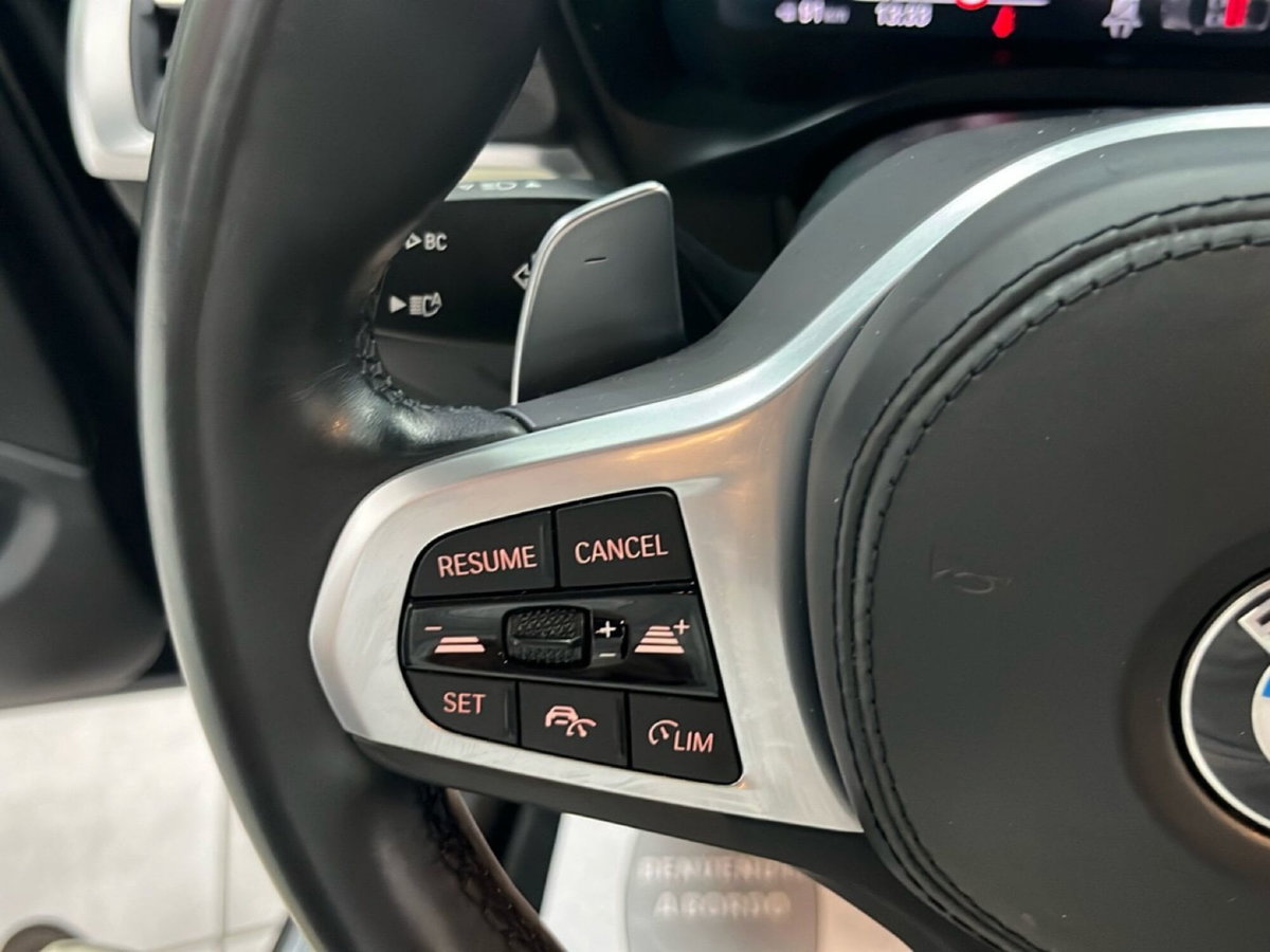 BMW X4 xDrive20iA Msport (18)