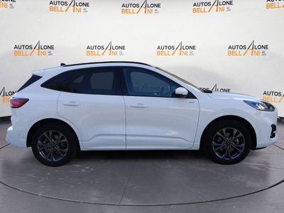 Ford Kuga 2.5 Plug In Hybrid 225 CV CVT 2WD ST-Line (7)