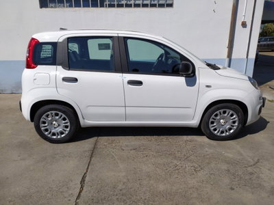 Fiat Pandina 1.0 firefly hybrid Icon s&s 65cv (13)