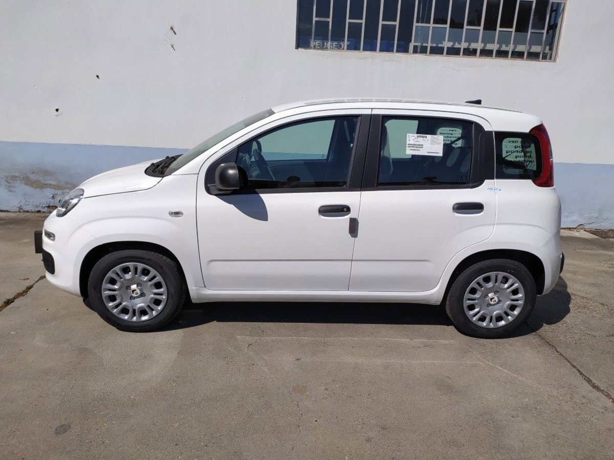 Fiat Pandina 1.0 firefly hybrid Icon s&s 65cv (3)