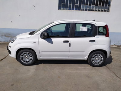 Fiat Pandina 1.0 firefly hybrid Icon s&s 65cv (3)