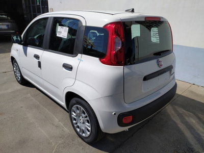 Fiat Pandina 1.0 firefly hybrid Icon s&s 65cv (5)