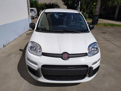 Fiat Pandina 1.0 firefly hybrid Icon s&s 65cv (7)