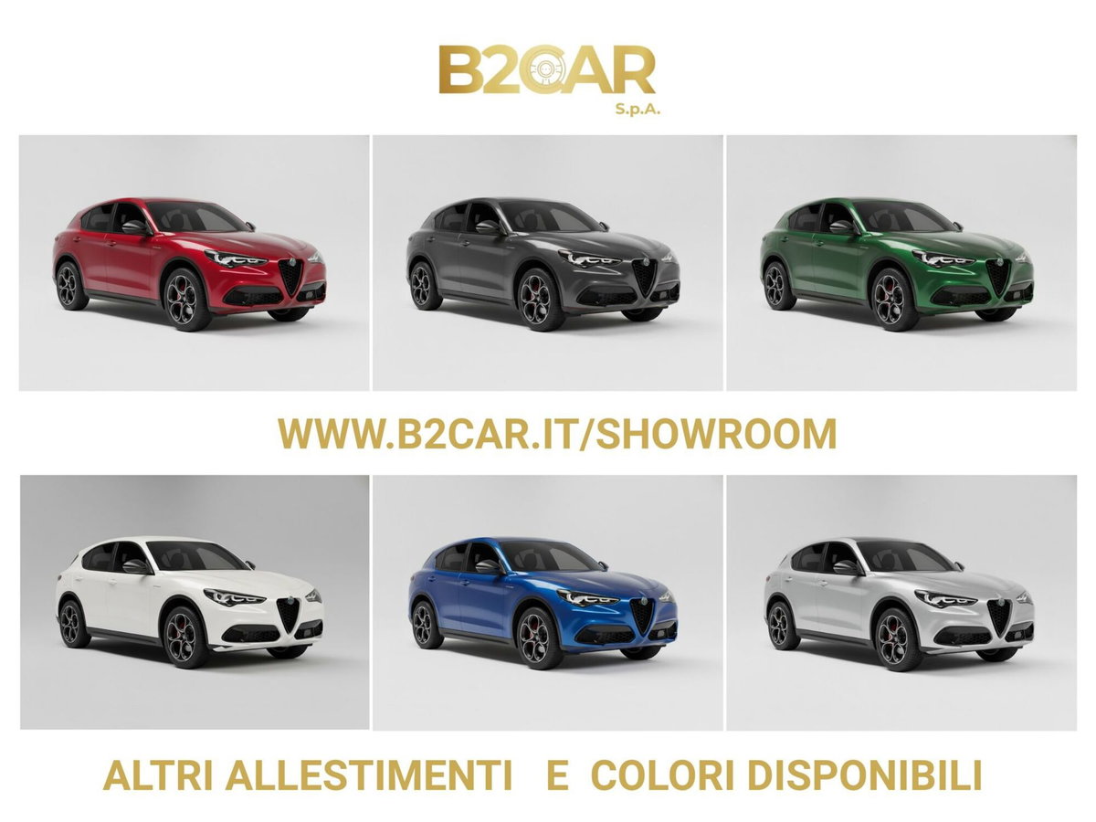 Alfa Romeo Stelvio Stelvio 2.2 Turbodiesel 210 CV AT8 Q4 Veloce (4)