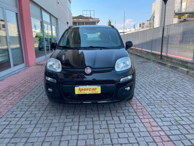 Fiat Panda 1.2 EasyPower Lounge usata