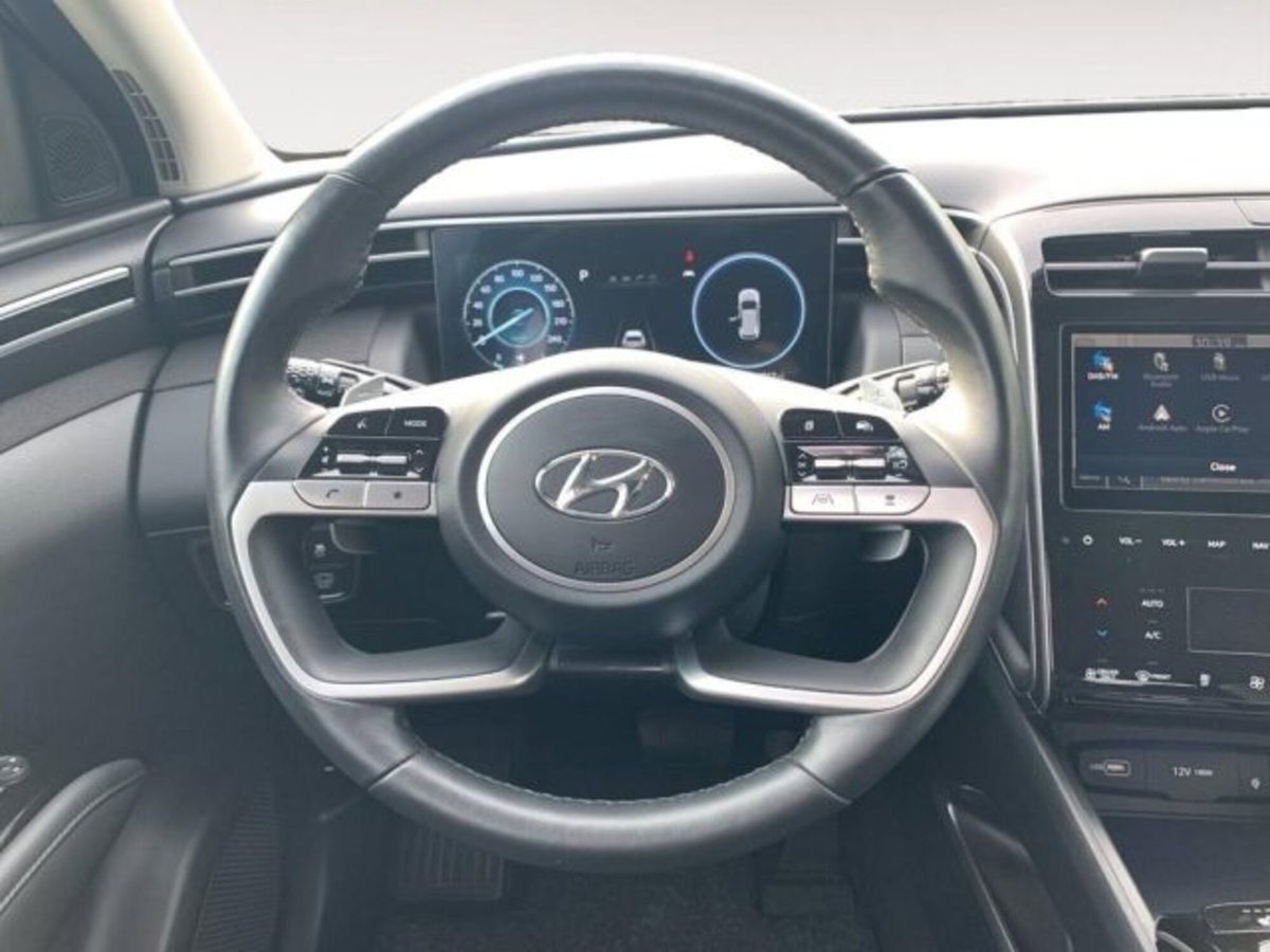 Hyundai Tucson 1.6 hev Exellence 4wd auto (12)