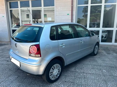 Volkswagen Polo 1.2 12V 5p. Trendline (6)