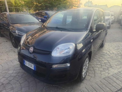 Fiat Panda 1.0 firefly hybrid s&s 70cv 5p.ti (2)