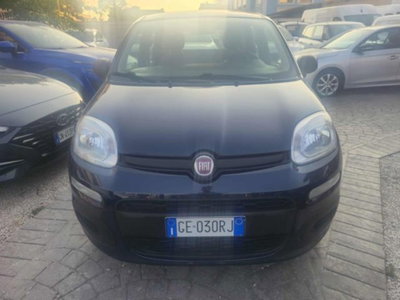 Fiat Panda 1.0 firefly hybrid s&s 70cv 5p.ti (3)