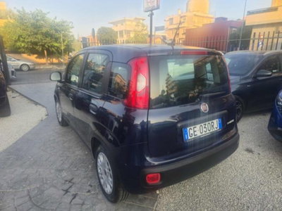 Fiat Panda 1.0 firefly hybrid s&s 70cv 5p.ti (4)