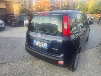 Fiat Panda 1.0 firefly hybrid s&s 70cv 5p.ti (7)