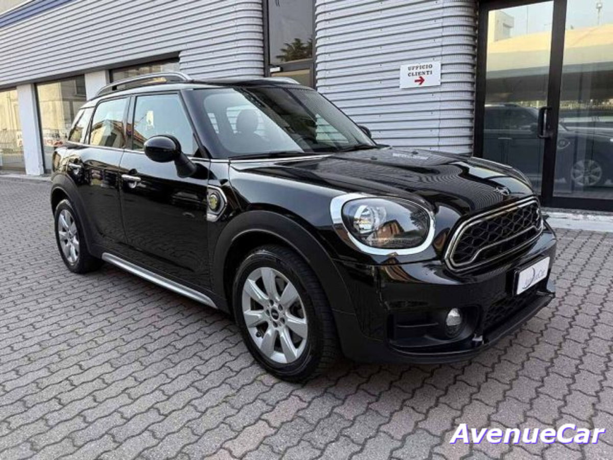 MINI Mini Countryman 1.5 Cooper Essential Countryman ALL4 (3)