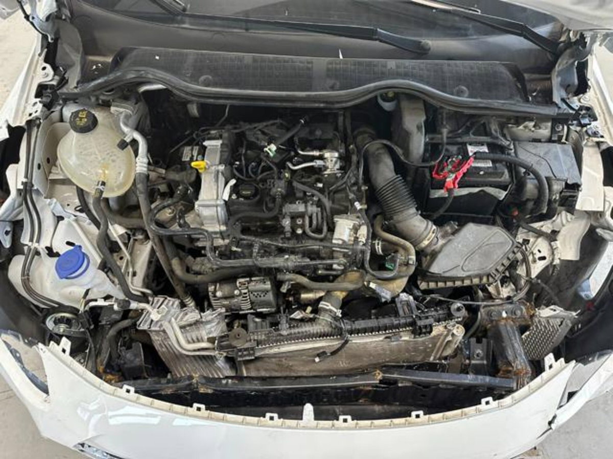 Ford Fiesta 1.0 Ecoboost Hybrid 125 CV DCT 5 porte Active (9)