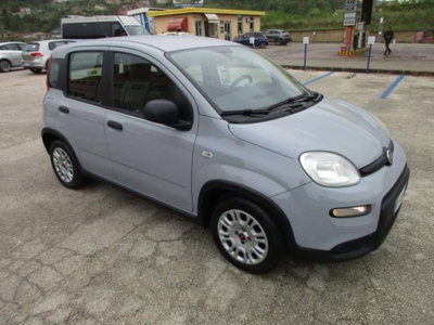 Fiat Panda 1.2 EasyPower usata