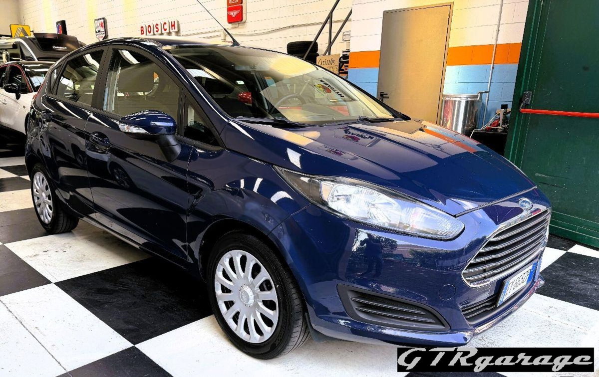 Ford Fiesta Plus 1.5 TDCi 75CV 5 porte (3)