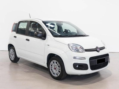 Fiat Panda 1.2 Easy usata