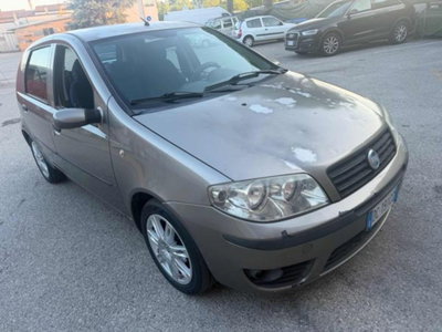 Fiat Punto 1.3 Multijet 16V 5 porte Dynamic usata