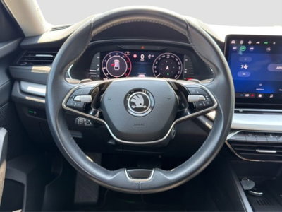 Skoda Octavia Station Wagon 2.0 tdi Executive 150cv dsg (13)