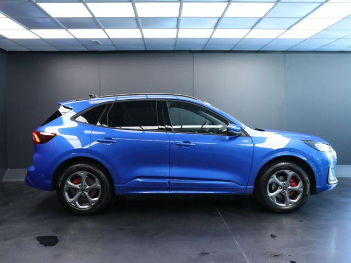 Ford Kuga 2.5 Plug In Hybrid 225 CV CVT 2WD ST-Line (6)