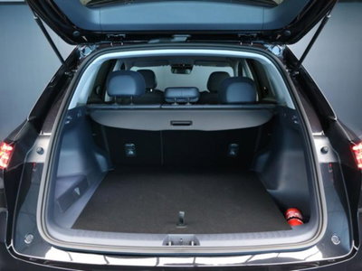 Geely Starray Starray EM-i 1.5 phev Pro auto (6)