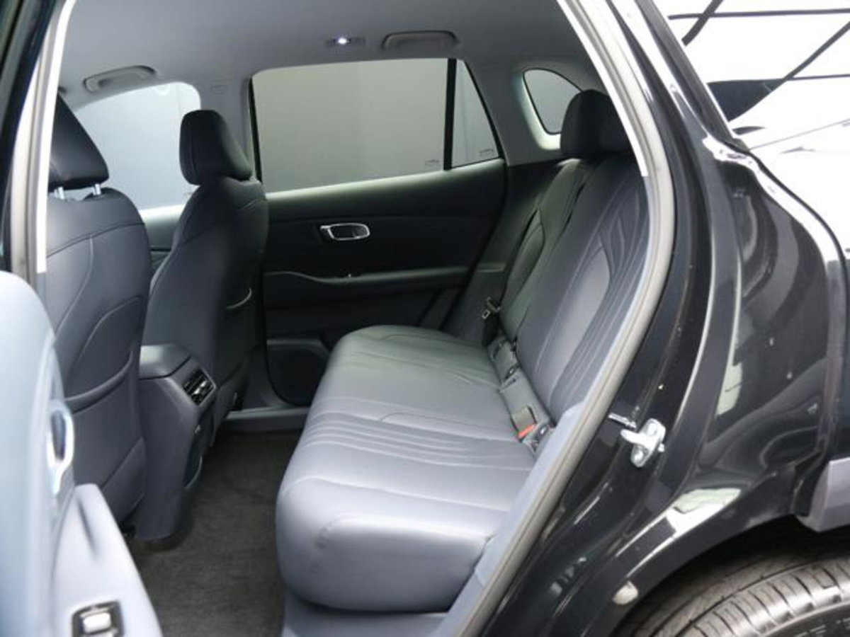 Geely Starray Starray EM-i 1.5 phev Pro auto (7)