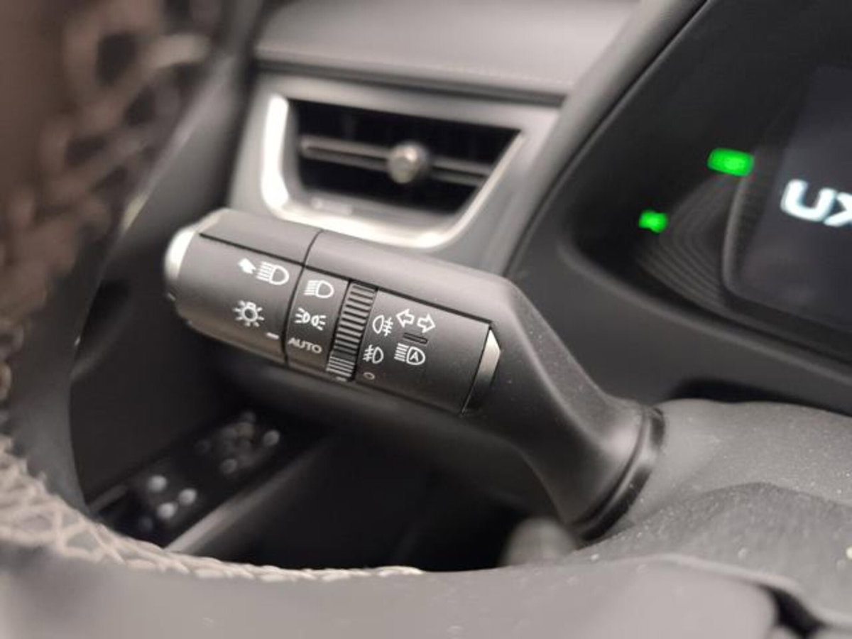 Lexus UX Hybrid Midnight Edition (16)