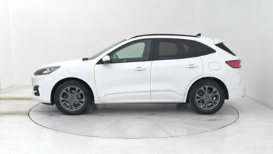 Ford Kuga 1.5 EcoBlue 120 CV aut. 2WD ST-Line X Design (2)