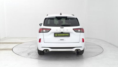 Ford Kuga 1.5 EcoBlue 120 CV aut. 2WD ST-Line X Design (4)