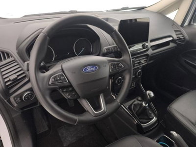 Ford EcoSport 1.0 EcoBoost 125 CV Start&Stop Active (10)