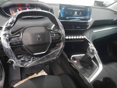 Peugeot 3008 BlueHDi 130 S&S Allure (6)