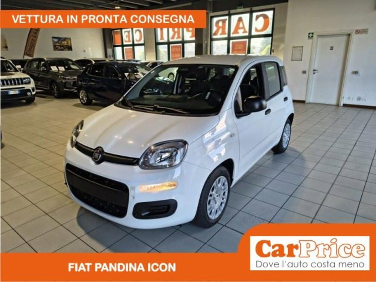Fiat Pandina 1.0 firefly hybrid Icon s&s 65cv