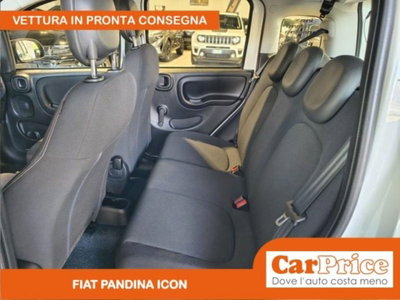 Fiat Pandina 1.0 firefly hybrid Icon s&s 65cv (10)