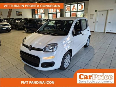 Fiat Pandina 1.0 firefly hybrid Icon s&s 65cv (15)