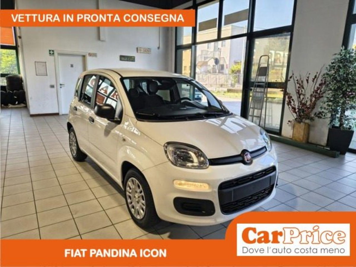Fiat Pandina 1.0 firefly hybrid Icon s&s 65cv (2)