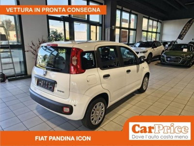 Fiat Pandina 1.0 firefly hybrid Icon s&s 65cv (3)