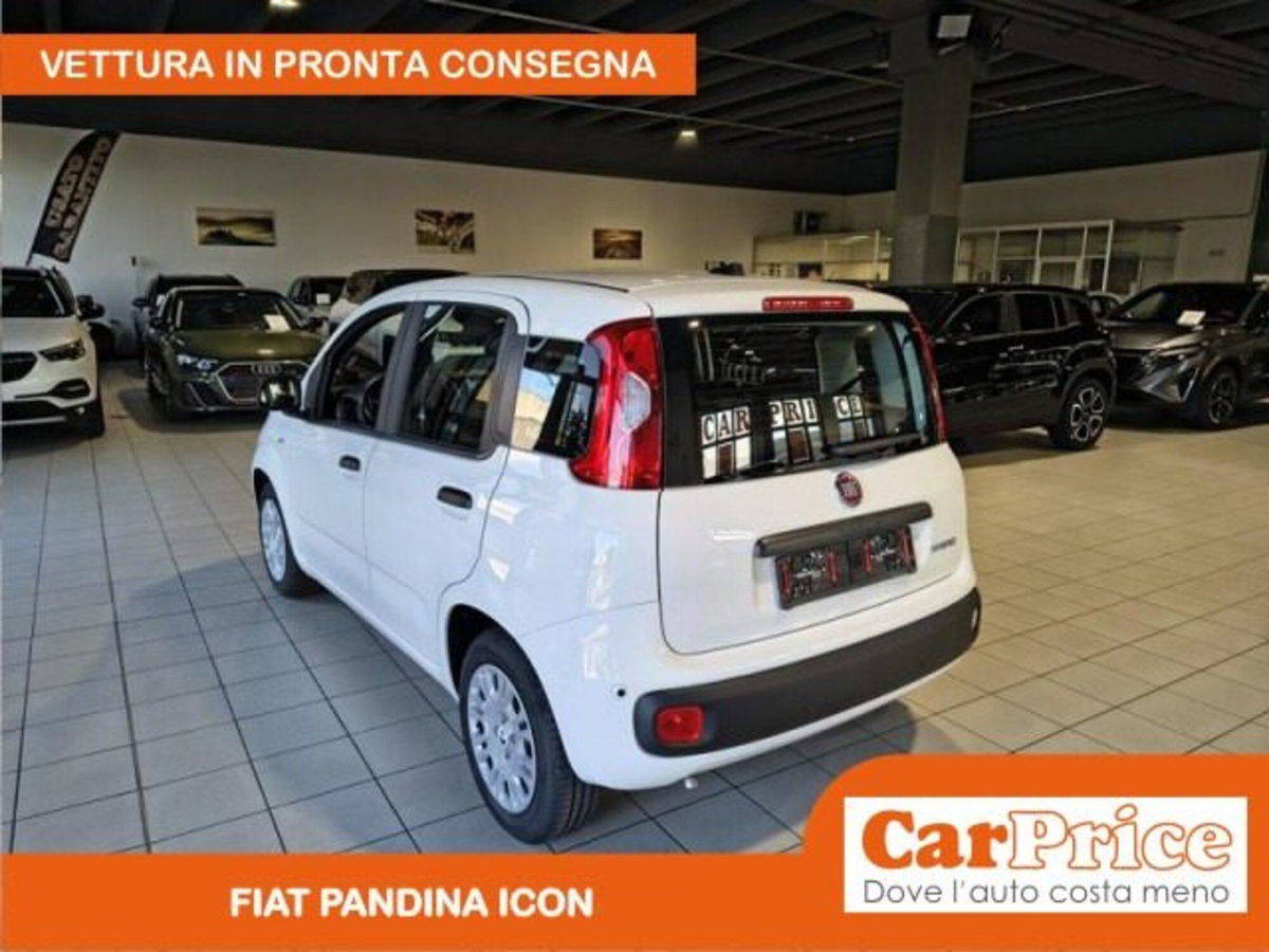 Fiat Pandina 1.0 firefly hybrid Icon s&s 65cv (4)