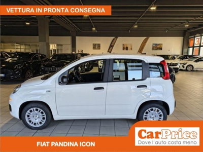 Fiat Pandina 1.0 firefly hybrid Icon s&s 65cv (5)