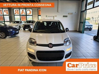 Fiat Pandina 1.0 firefly hybrid Icon s&s 65cv (7)