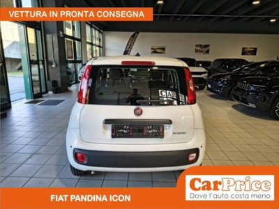 Fiat Pandina 1.0 firefly hybrid Icon s&s 65cv (8)