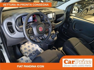 Fiat Pandina 1.0 firefly hybrid Icon s&s 65cv (12)