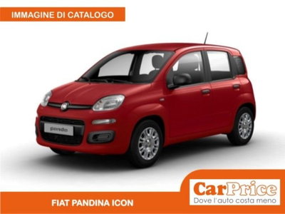 Fiat Pandina 1.0 firefly hybrid Icon s&s 65cv (14)