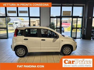 Fiat Pandina 1.0 firefly hybrid Icon s&s 65cv (6)